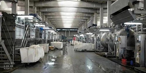 60臺織機 400萬米庫存 某織廠 斷臂求生 拋貨 賣房