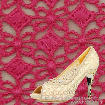 【江蘇蕾絲面料 特殊鞋材面料 蕾絲女鞋 特殊鞋面料找惠東新】價格_廠家_圖片